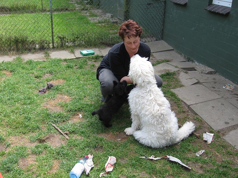 Img0495.JPG