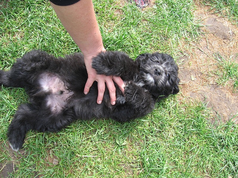 Img0503.JPG
