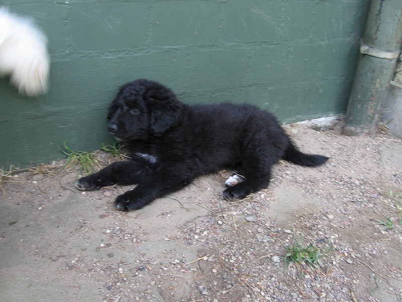 Img0511.JPG