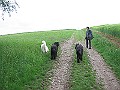 IMG_2075
