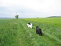 IMG_2083