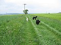 IMG_2084