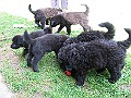 Img0478