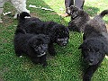 Img0483