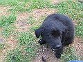 Img0492