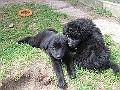 Img0501