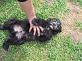 Img0503