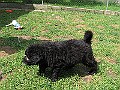 Img0506