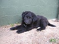 Img0512