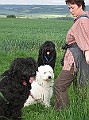 Img0574