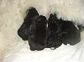 b0004